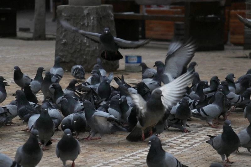 Başkentliler kısıtlamalara uyuyor
