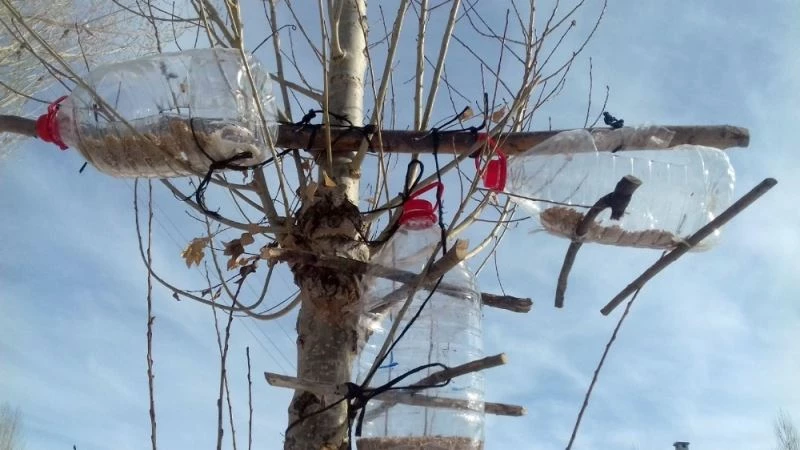 Yüksekovalı genç pet şişelerinden kuş yemlikleri yaptı
