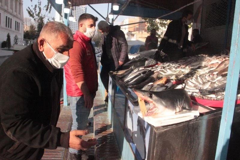 (Özel) Urfalıların köpekbalığı şaşkınlığı
