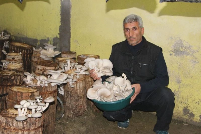 Bir torba ve bir kütük ile başladı şimdi siparişlere yetişemiyor
