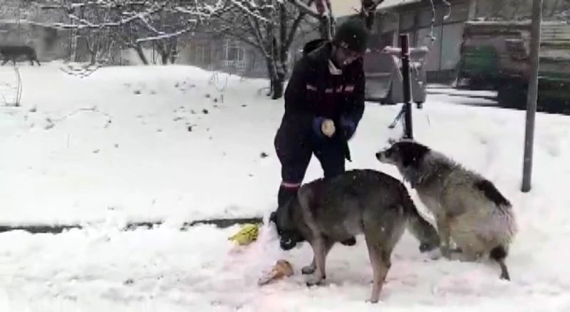 Temizlik görevlisinden iç ısıtan davranış

