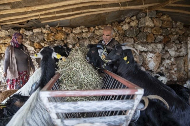 ’Haydi gel köyümüze destek verelim’ projesi, yeni doğumlarla büyüyor
