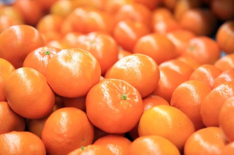 Narenciye ihracatını 2020
