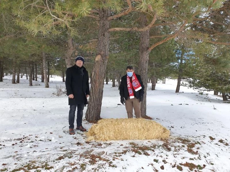 Kış şartlarının ağırlaştığı Akdağ’da yaban hayatı unutulmadı
