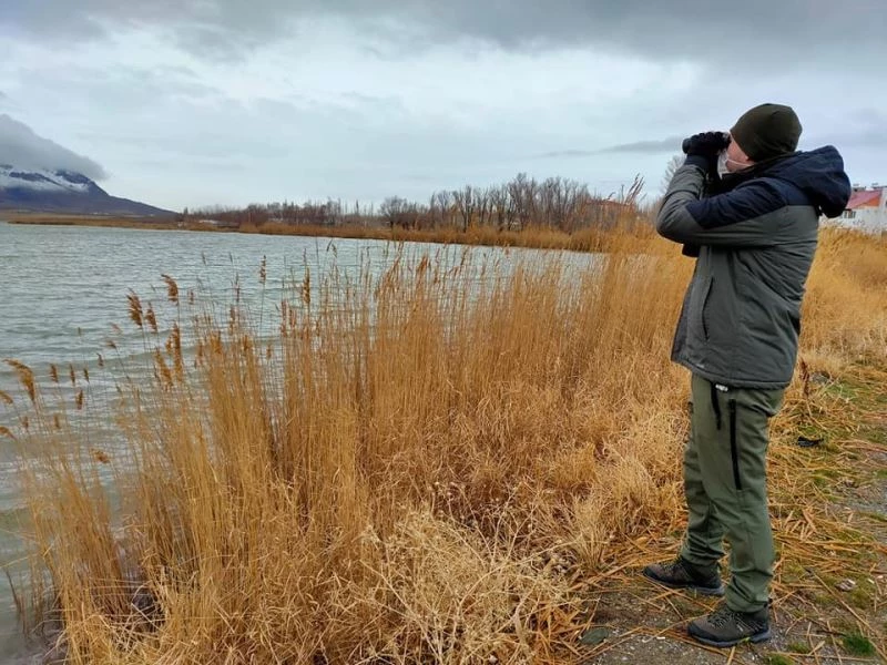 Sivas’ta su kuşu sayımı yapıldı

