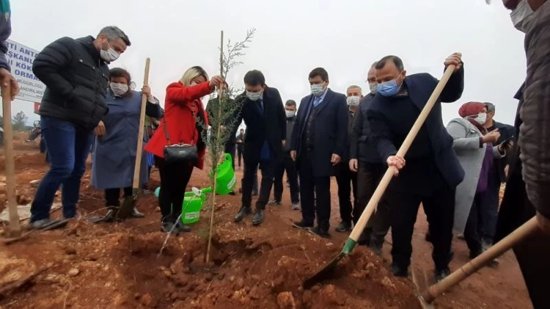 AK Parti’den İsmail Kökçe adına hatıra ormanı
