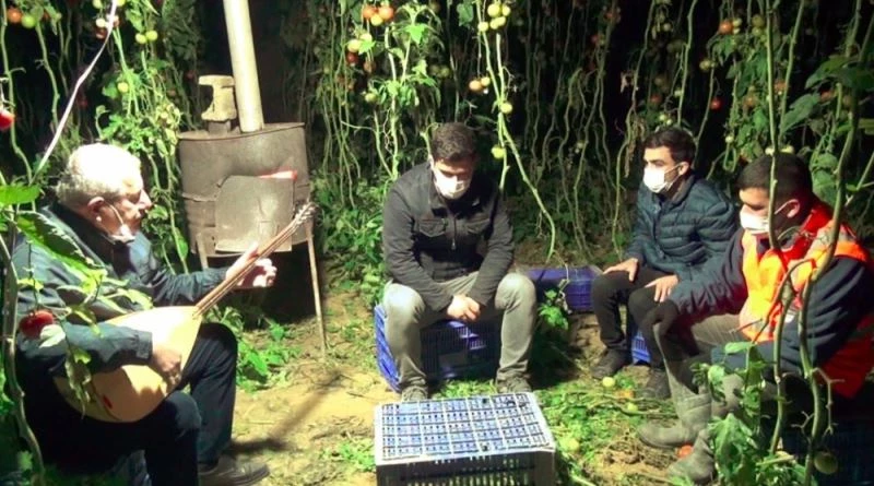 Antalya’da seralarda sazlı sözlü ’Don’ nöbeti başladı
