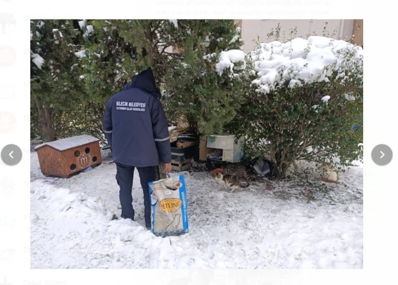 Soğuk ve karlı havalarda sokak hayvanları mamasız ve susuz bırakılmıyor
