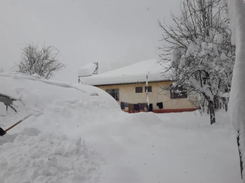 Elektrik, su ve ulaşım olmayan köyde vatandaşlar yetkililerden yardım bekliyor
