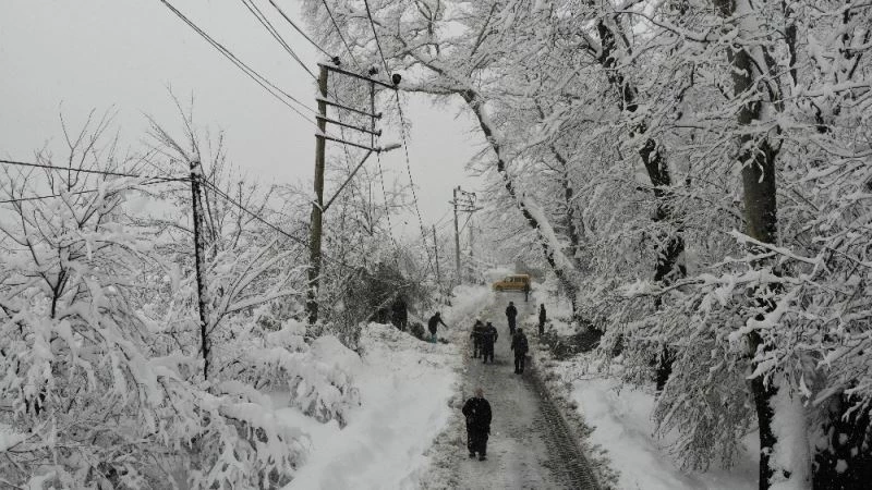 Ağaçların devirdiği elektrik hatlarında zorlu mesai
