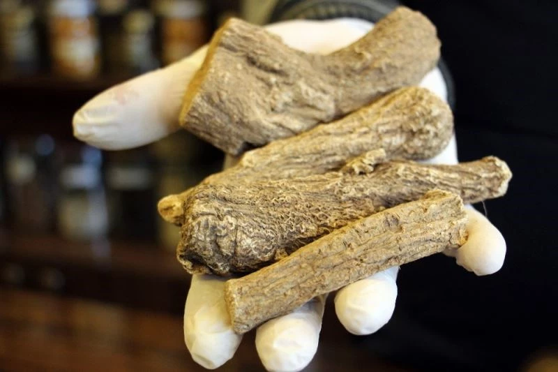 Yeryüzünün en güçlü antibiyotiği: ’Udi hindi’
