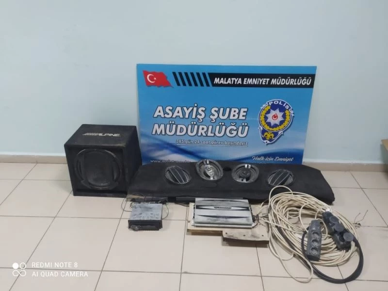 Oto farelerine tutuklama
