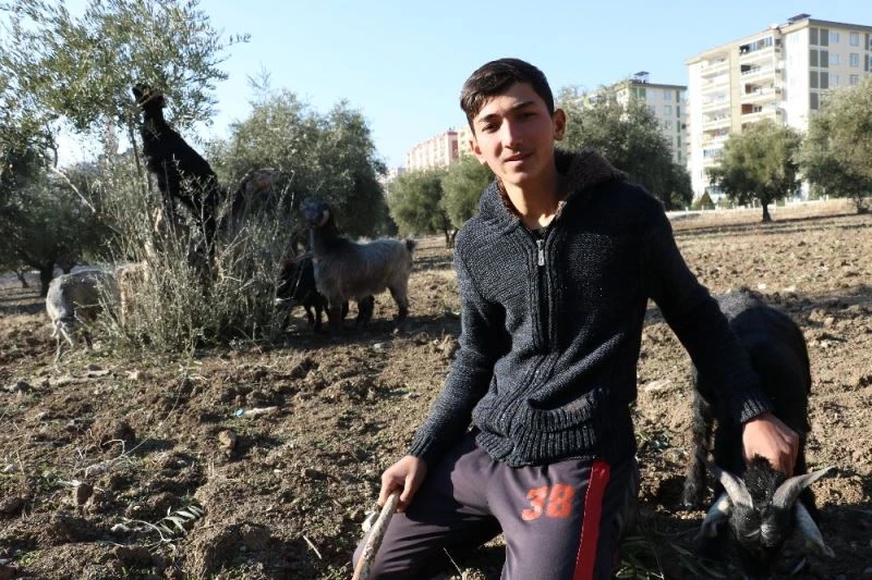 Sokağa çıkma kısıtlamalarında çobanlık yapıyor
