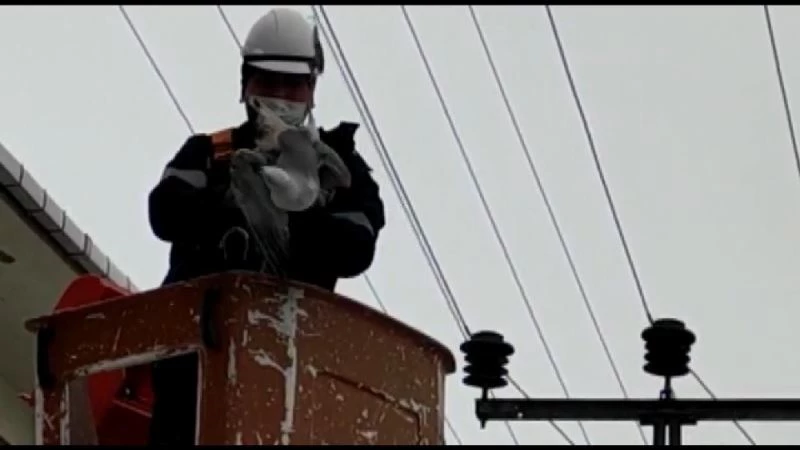Tellere takılan martı kurtarıldı
