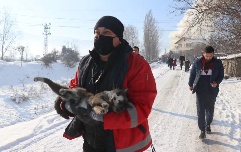 Yanan evden çıkarılan kedi tüm müdahalelere rağmen kurtarılamadı

