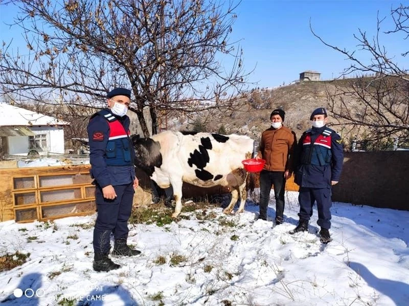 Hayvan hırsızlığı yaptıkları iddiasıyla 2 şüpheli yakalandı
