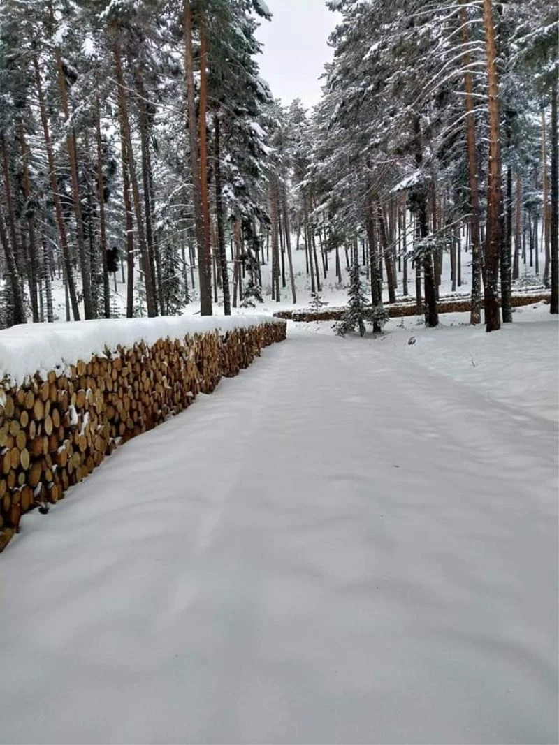 Eşsiz kar manzaraları ile Lütfiye köyü
