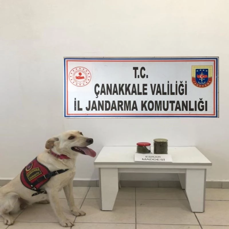 Valizinde taşıdığı uyuşturucuyla yakalandı
