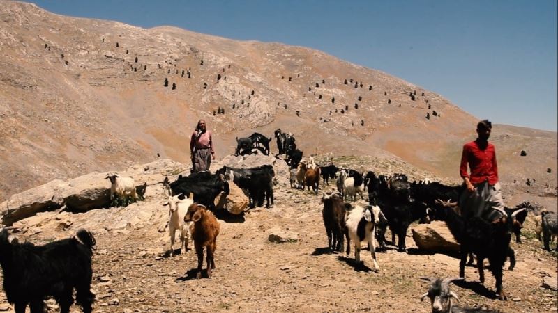 Bolkar Dağlarının konargöçer Yörüklerinin yaşamı belgesel oldu
