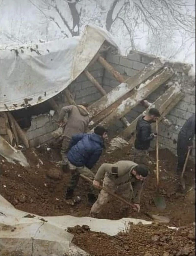 Tavanı çöken ahırın içindeki hayvanlar telef oldu
