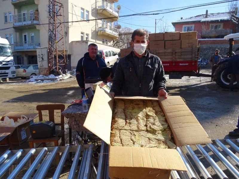 Hisarcık’ta tütün alımlarına başlandı
