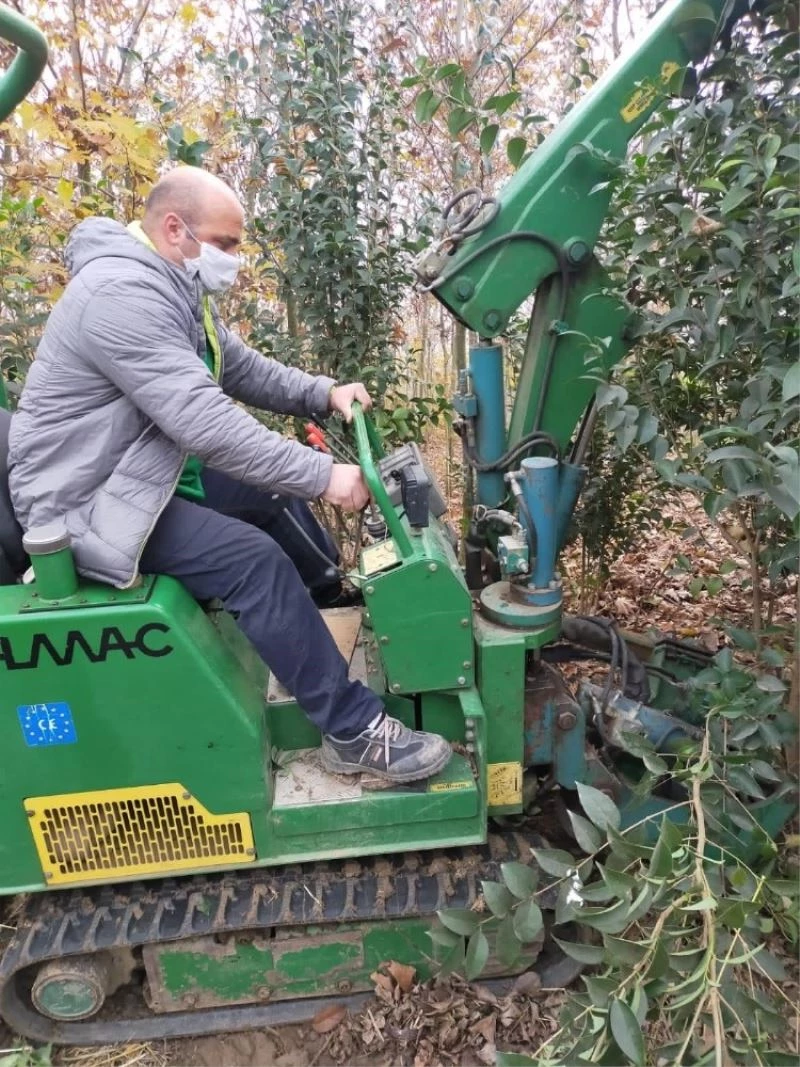 Kocaeli, fidanlarını kendisi üretiyor
