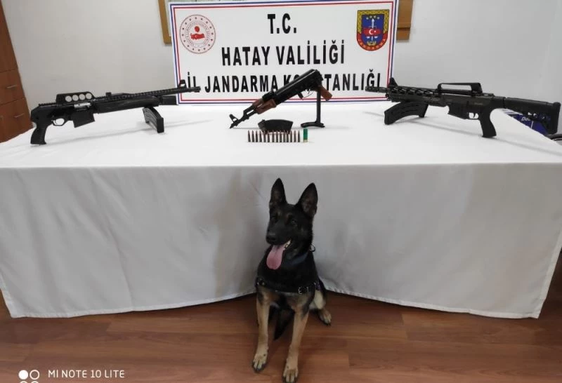 Aile çay bahçesine gömülmüş silahlar bulundu
