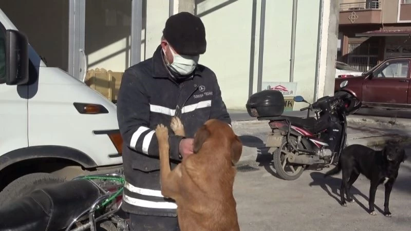 Köpeğini ezen otomobil sürücüsünden şikayetçi oldu
