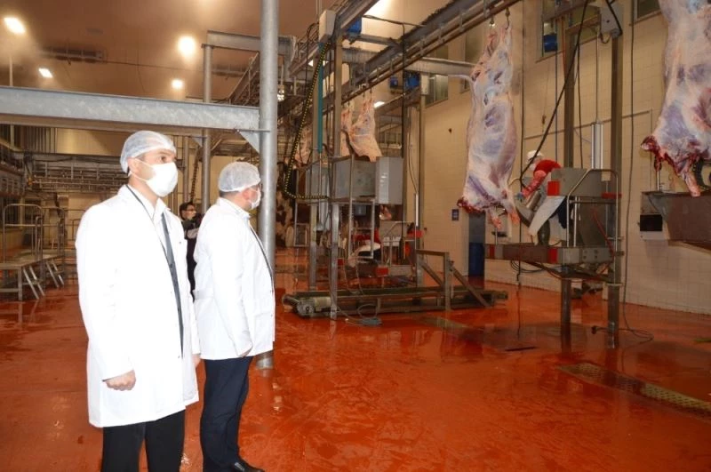 Kavurma ile marka olan Halk Et, hayvansal atıklardan sokak hayvanlarına mama üretecek
