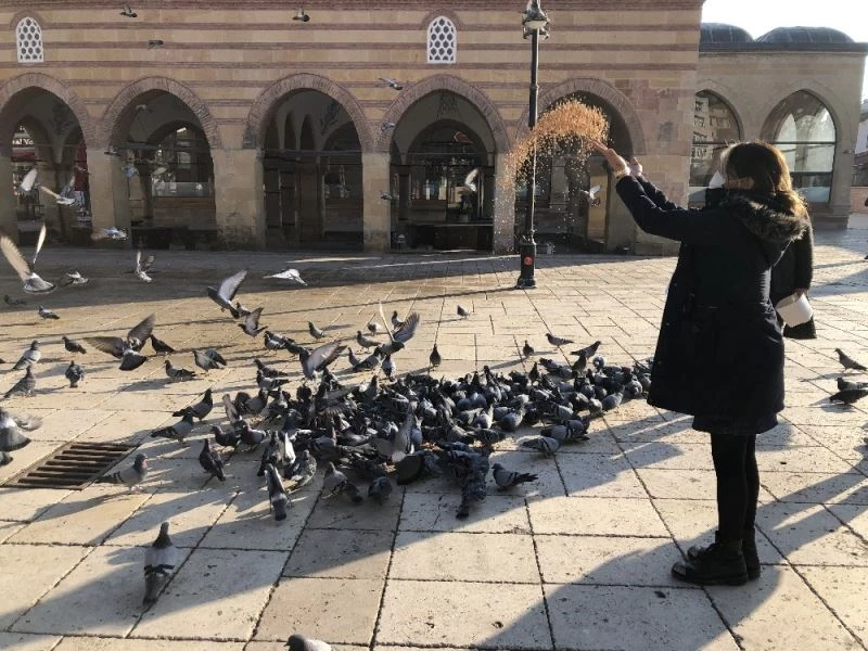 Kısıtlamada özel izinle kuş ve sokak hayvanlarını beslediler
