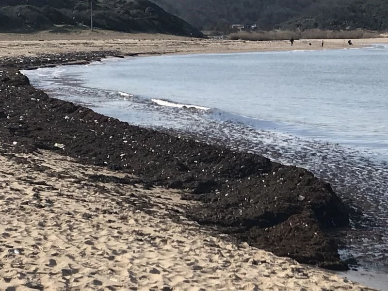 (Özel) İstanbulluların akın ettiği sahil çöp yuvasına dönerek kızıla boyandı
