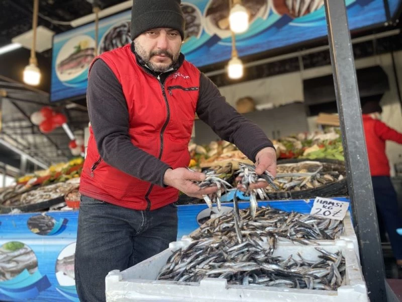 Düzceli balıkçılar vatandaşa ucuz balık yedirmek için yasağın kalkmasını bekliyor
