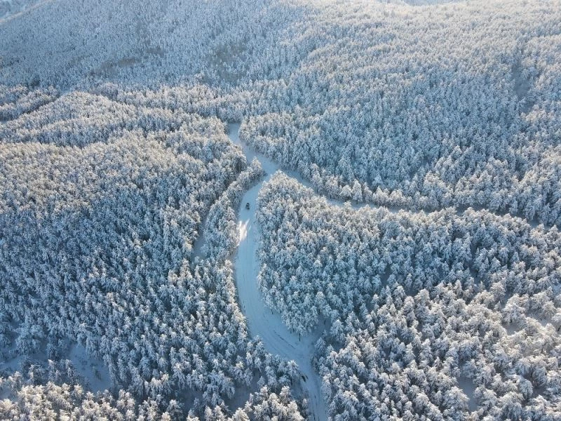 Çatak Tabiat Parkı yaban hayatı ile ziyaretçilerin ilgisini çekiyor

