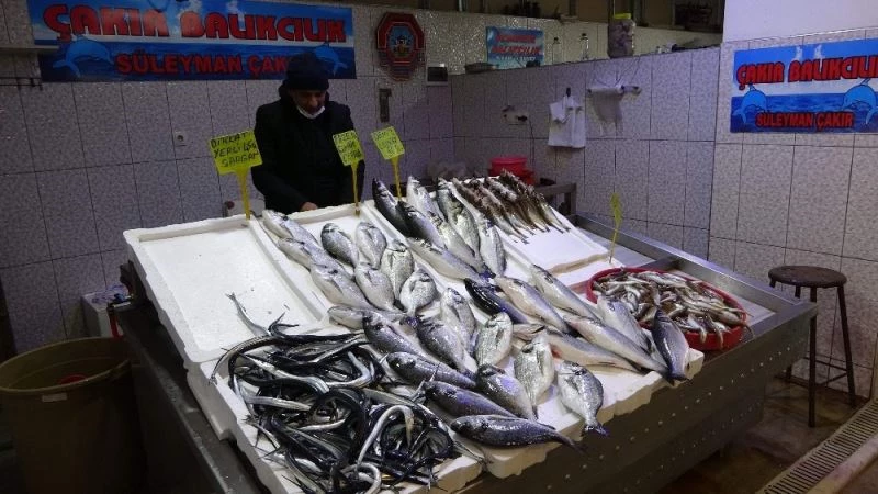 İğneada bile derman olamadı
