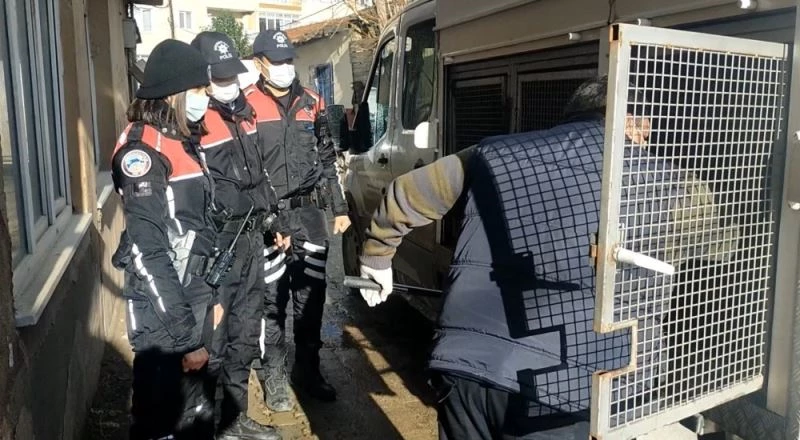 İnsanlık dışı olayın şüphelisine gözaltı
