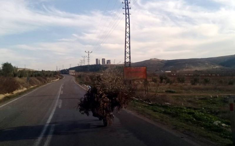 Motosikletle odun ve çalı taşıdı
