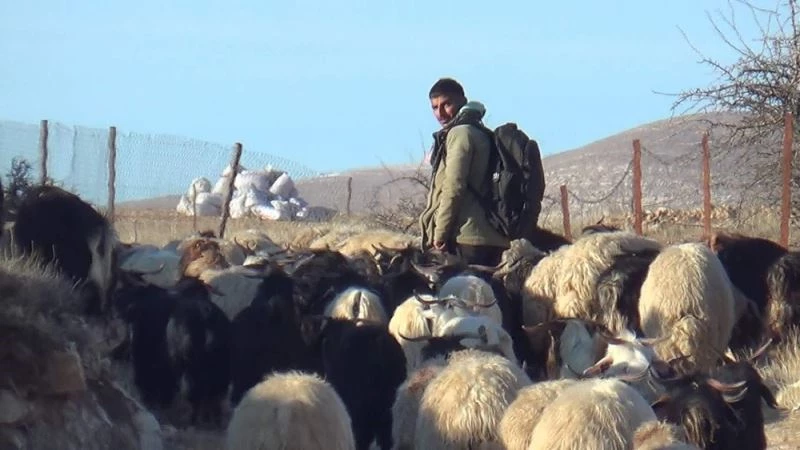 Yıl boyu süren zorluk: Göçerler dondurucu soğukta çadırlarda konaklayarak yaşama tutunmaya çalışıyor
