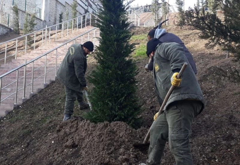 Keçiören her mevsim ağaçlandırılıyor
