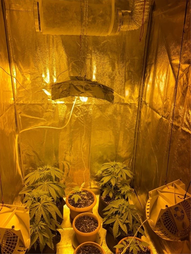 Evi uyuşturucu serasına çevirmiş
