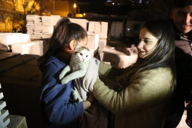 Mermer paletlerin arasına sıkışan kediyi itfaiye ekipleri kurtardı
