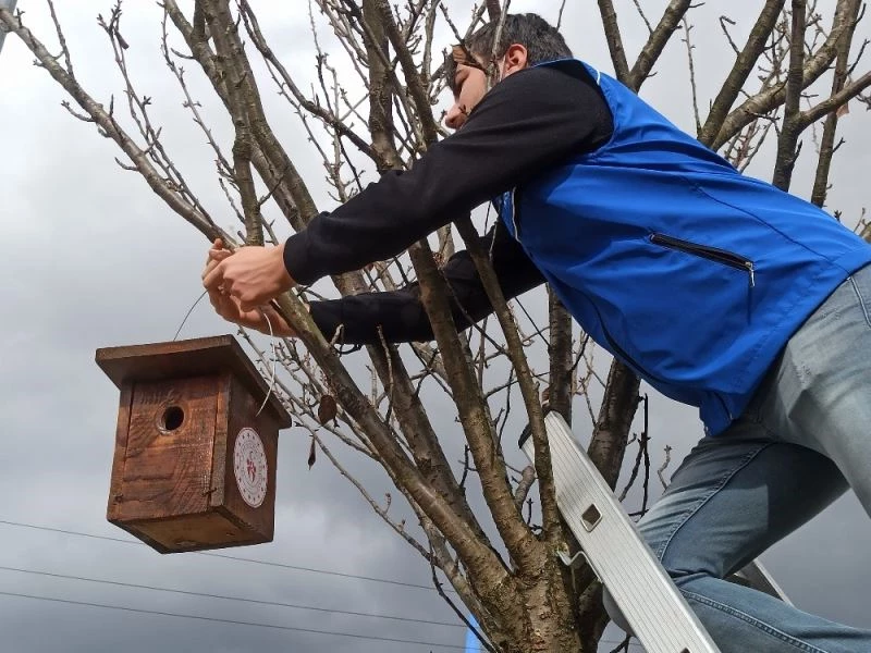 Meteorolojinin tahmini gençleri harekete geçirdi
