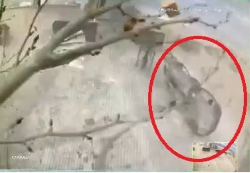 Bursa’da lodosun uçurduğu otomobil ve kamelya kameralara yansıdı
