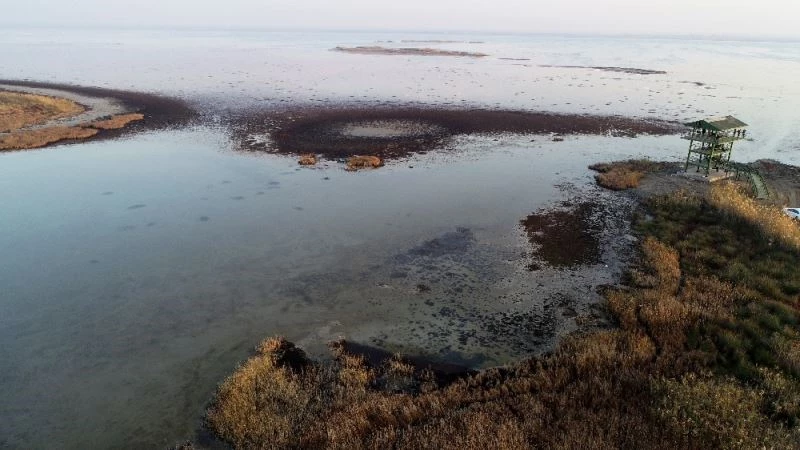 Doğa harikası lagün mikrop saçıyor
