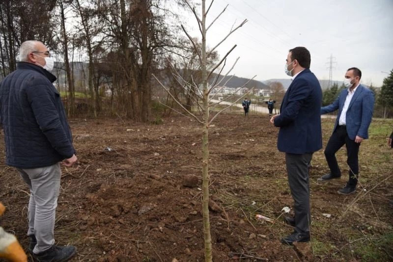 Başiskele’de fidan dikimine devam ediliyor
