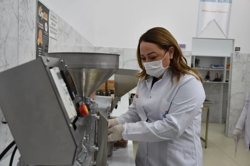 Ağrılar kayısı çekirdeği ile dindiriliyor
