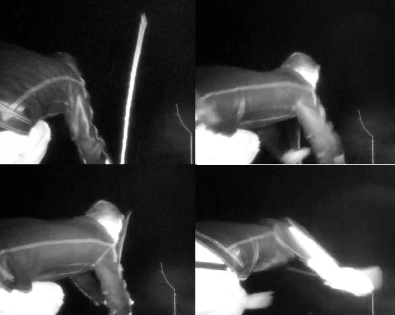 17 bin TL harcadı, ağaçlarını keseni fotokapanla yakaladı
