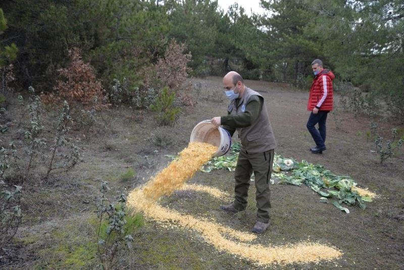 Pazar alanından toplanan atıl yeşillik ve meyveler yaban hayvanları için doğaya bırakıldı
