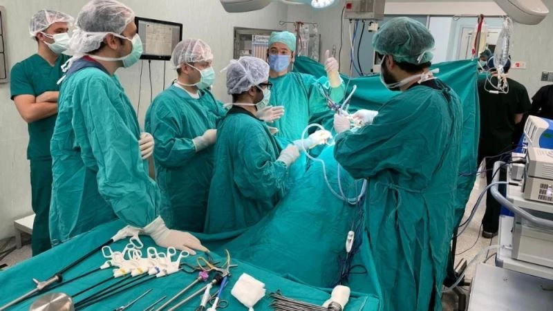 Çevrim İçi Laparoskopik Böbrek Tümörü Kursu
