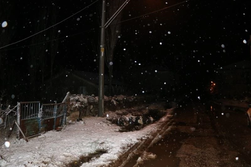 İnekler sulamaya götürülürken yüksek gerilime kapıldı

