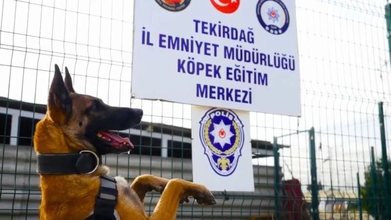 Uyuşturucu tacirlerinin korkulu rüyası Larissa’ya özel klip
